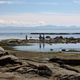 Illustration for article titled Pics from the (Ocean Floor): 2018-05-05 at Botanical Beach